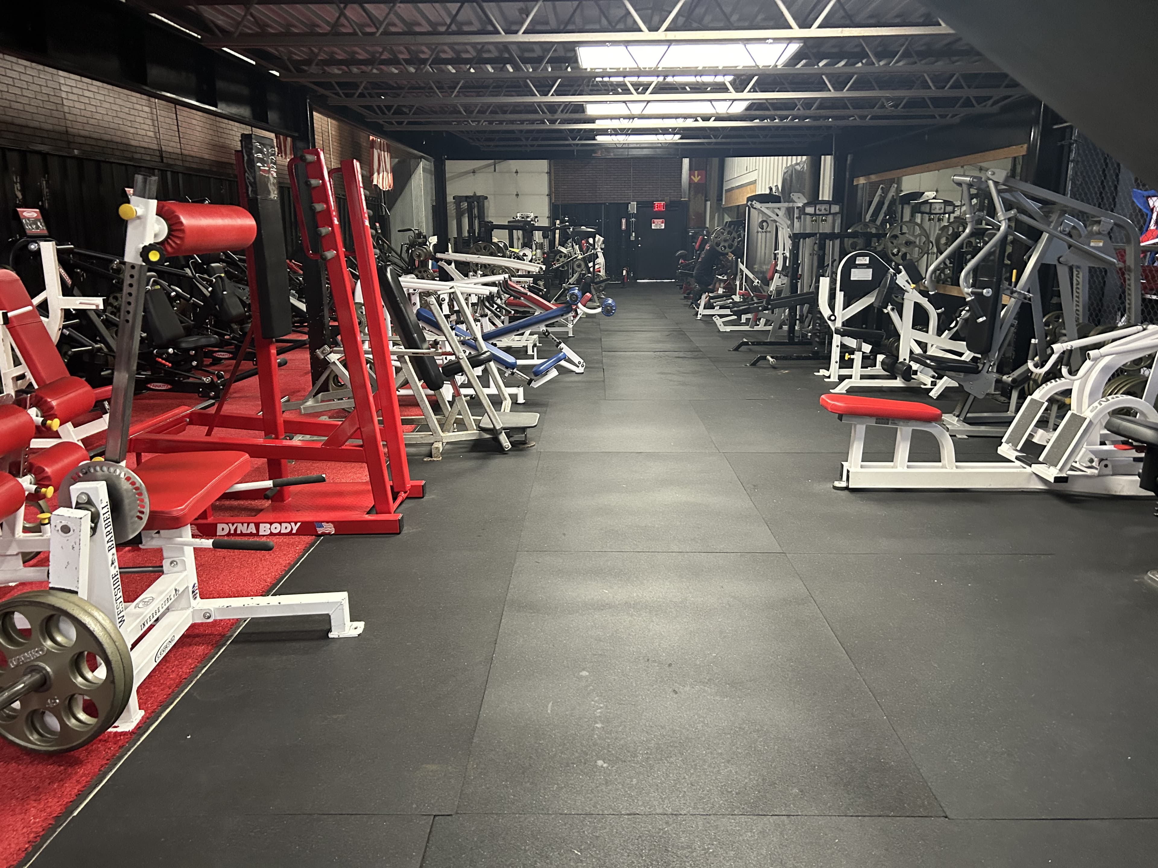 Bodybuilding area